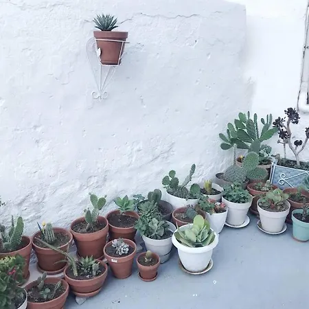 Little Cactus Σπίτι διακοπών *