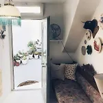 Little Cactus *