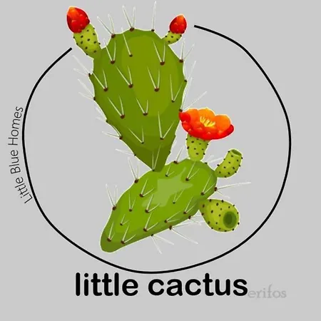 Little Cactus Semesterbostad Serifos Town