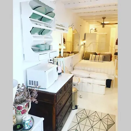 Little Cactus Dom wakacyjny *