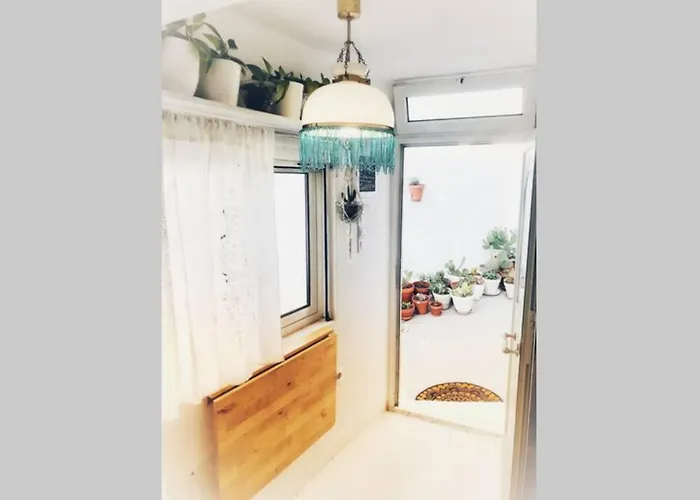 Little Cactus Сasa de vacaciones