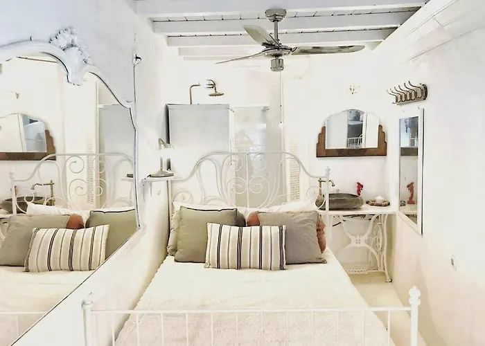 Little Cactus Serifos Town