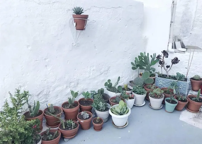 Little Cactus Сasa de vacaciones *