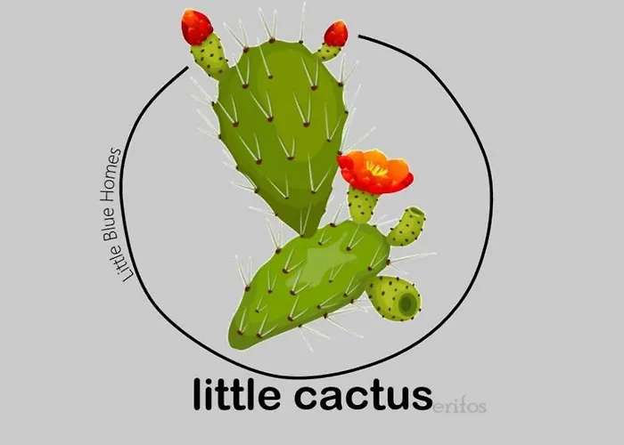 Little Cactus Сasa de vacaciones Serifos Town