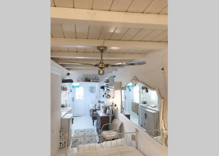 Little Cactus * Serifos Town