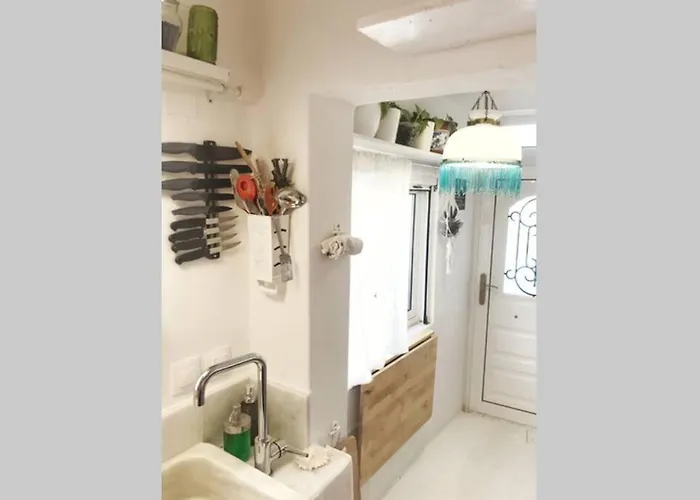 Little Cactus * Serifos Town